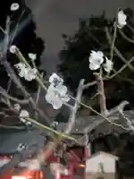 五方山熊野神社(東京都)