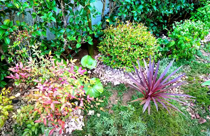 寿量山 速成寺の自然