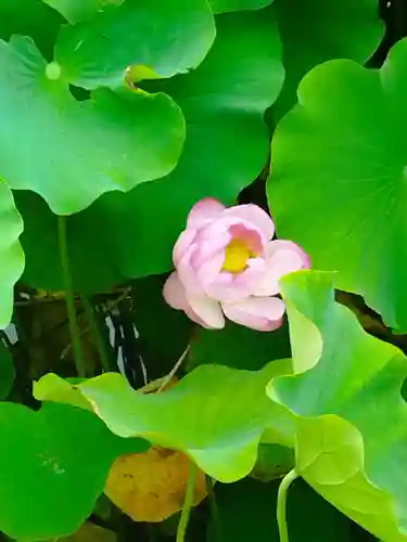 天龍寺(京都府)