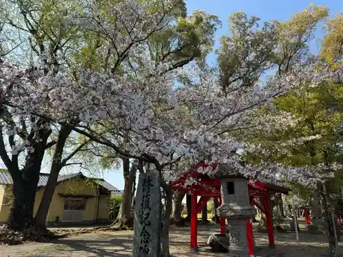 美奈宜神社(福岡県)