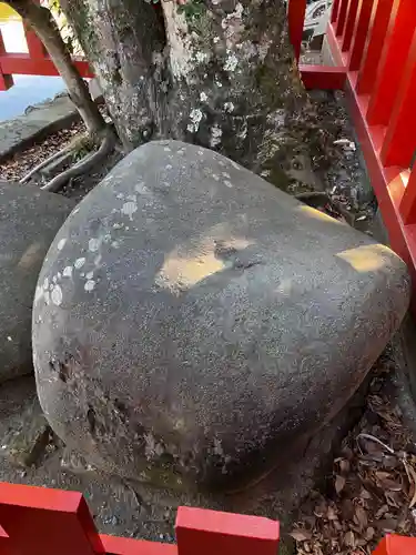 鶴岡八幡宮の自然