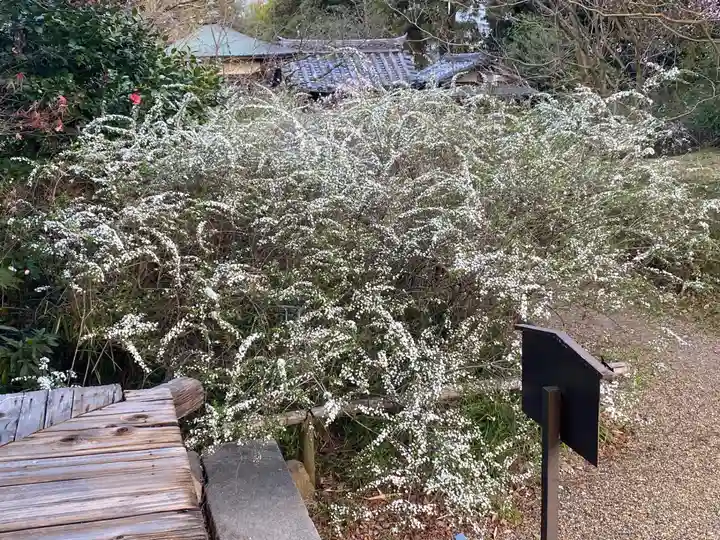 海龍王寺(奈良県)