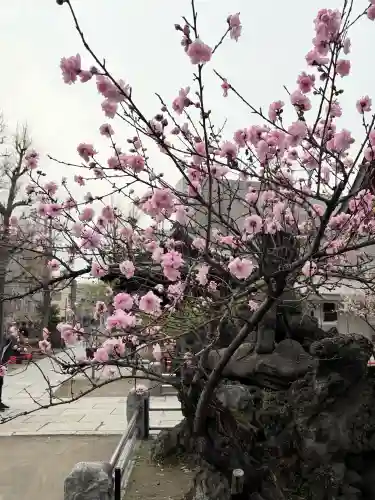 素盞雄神社の{uncategorized: "未分類", other: "その他", undefined: "問題あり", building: "その他建物", grave: "お墓", sacred_gate: "鳥居", guardian: "狛犬", statue: "像", buddha: "仏像", history: "歴史", nature: "自然", garden: "庭園", animal: "動物", pagoda: "塔", temizu: "手水舎", mountain_gate: "山門・神門", sanctuary: "本殿・本堂", subordinate: "末社・摂社", art: "芸術", scenery: "景色", jizo: "地蔵", ema: "絵馬", goshuin: "御朱印", omikuji: "おみくじ", items: "授与品その他", amulet: "お守り", goshuincho: "御朱印帳", eats: "食事", festival: "お祭り", votive_dance: "神楽", shichigosan: "七五三参", wedding: "結婚式", experience: "体験その他", initially: "初詣", around: "周辺", anti_infection: "感染症対策"}