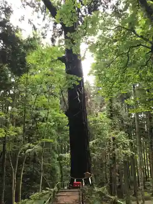 志和稲荷神社(岩手県)