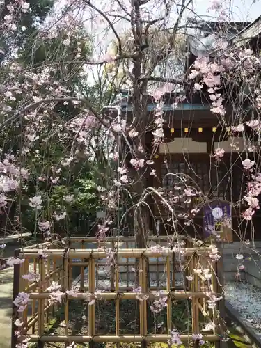 新田神社の自然