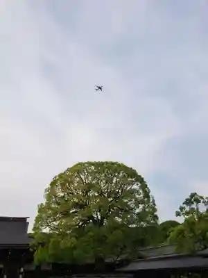 明治神宮(東京都)