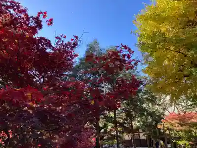 淨眞寺(東京都)