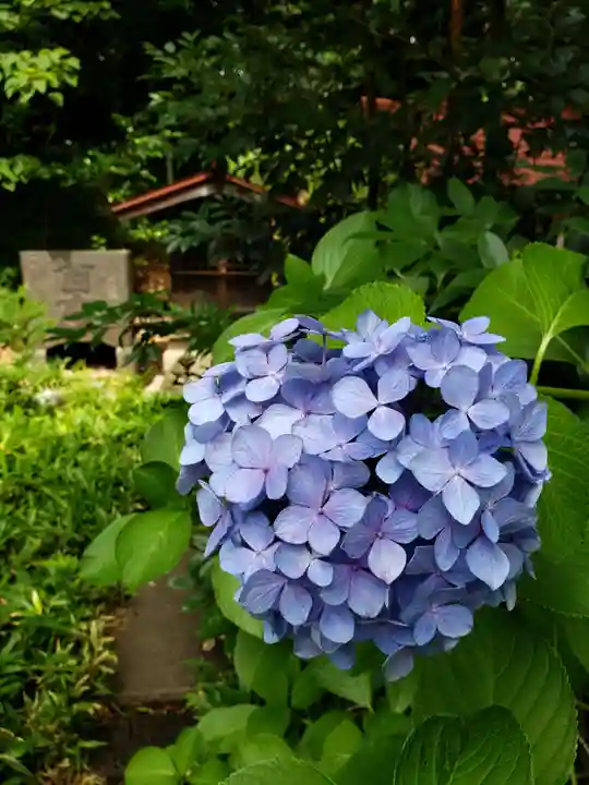 渋谷氷川神社(東京都)
