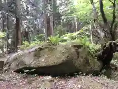 名草厳島神社の自然