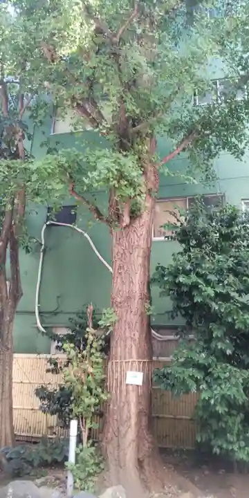 銀杏岡八幡神社(東京都)