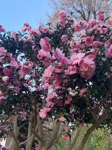 時宗総本山 遊行寺（正式：清浄光寺）(神奈川県)