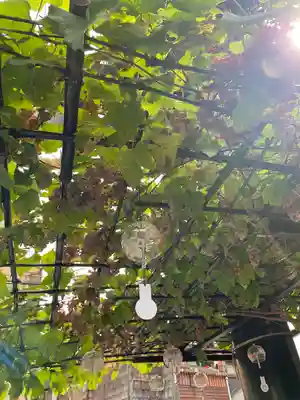 菊名神社(神奈川県)