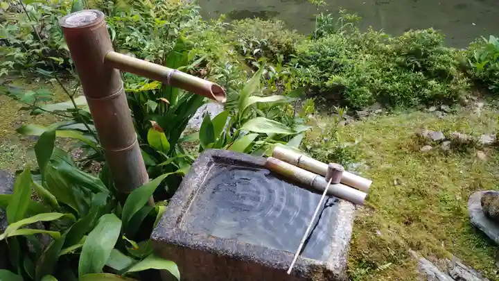 実相院門跡の手水舎