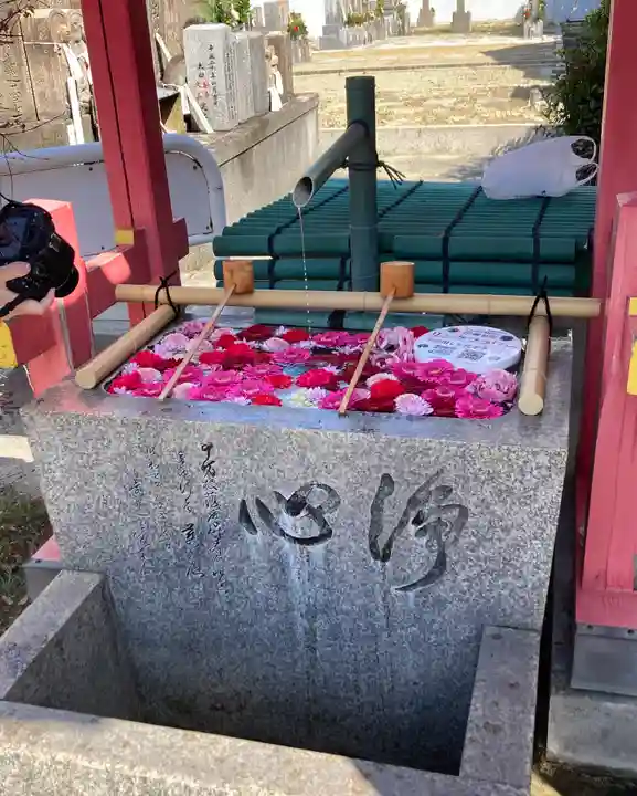 愛染堂勝鬘院の手水舎