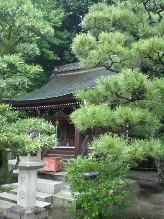 大酒神社の本殿・本堂