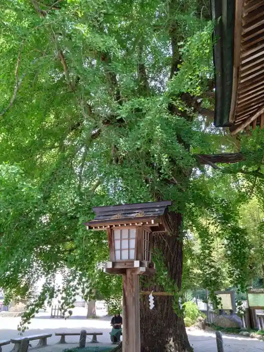 今宮神社(栃木県)