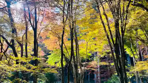高山寺(京都府)