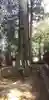 一言主神社の自然