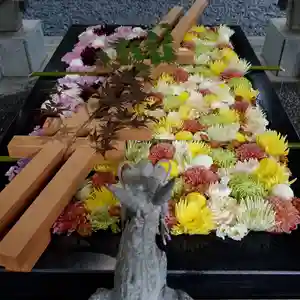 帯廣神社の手水舎(2024年08月09日(金) 18時16分36秒投稿)