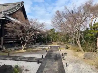 極楽寺(京都府)