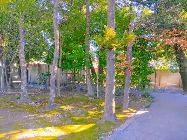 宗形神社の自然