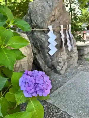田無神社(東京都)