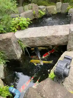 妙高院(神奈川県)