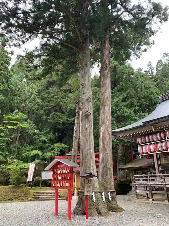 志和稲荷神社の自然