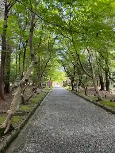 大原野神社(京都府)