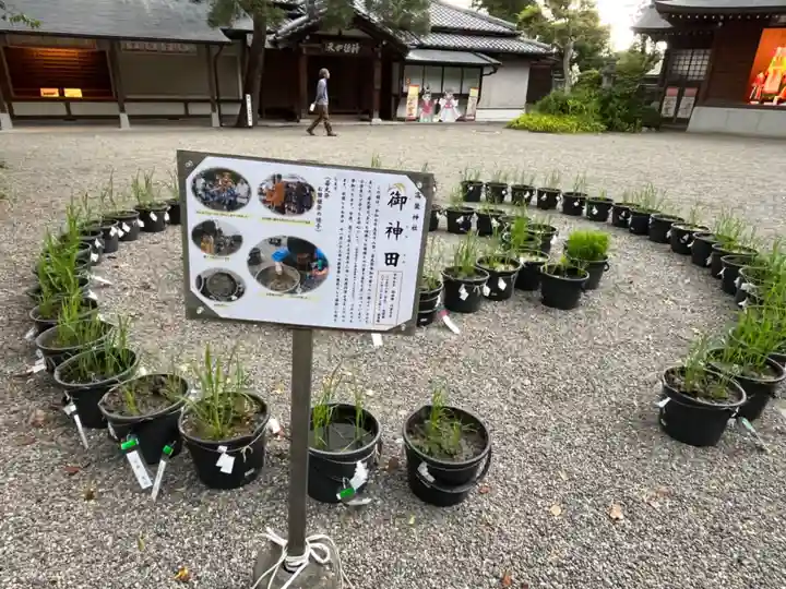高麗神社(埼玉県)
