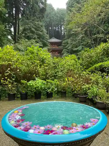 岩船寺(京都府)