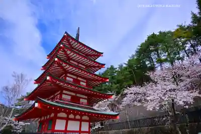 新倉富士浅間神社(山梨県)