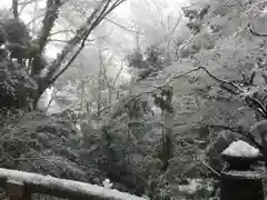 明治神宮の庭園