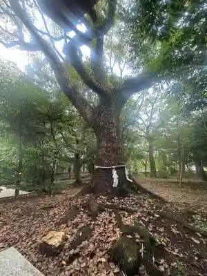 縣居神社(静岡県)