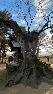 川中島古戦場八幡社(長野県)