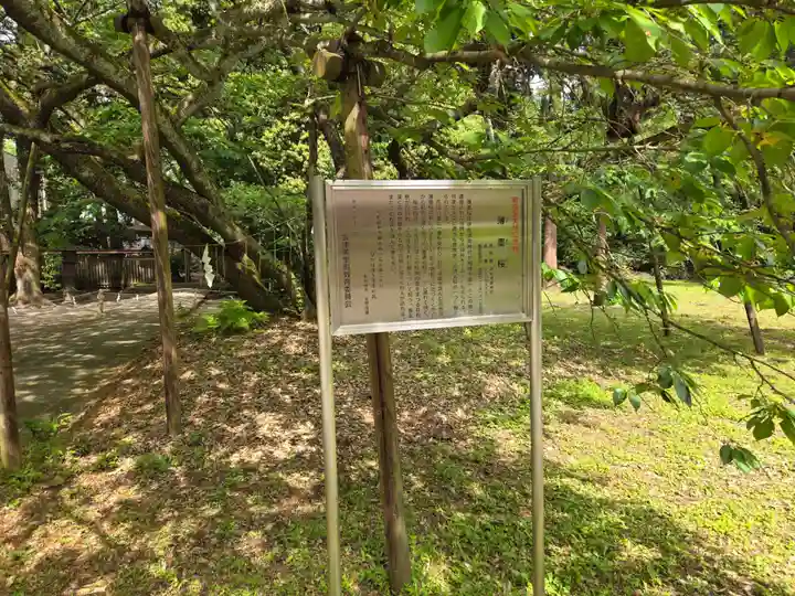 伊佐須美神社(福島県)