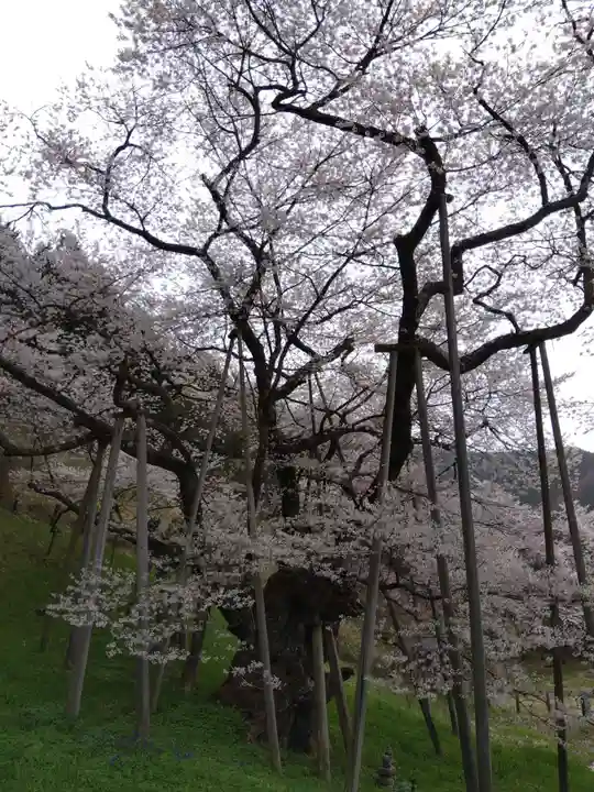 大幢寺(岐阜県)