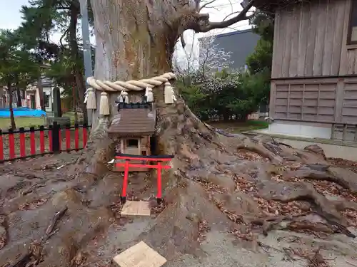 曽根神社の自然