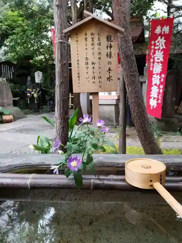 陽運寺の手水