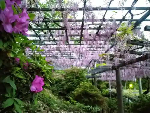 阿智神社(岡山県)