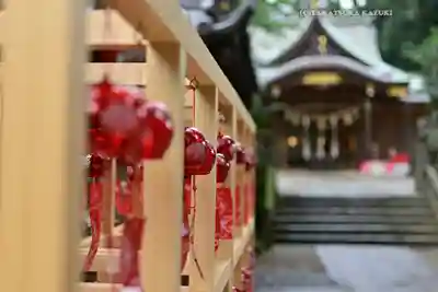 岩槻久伊豆神社(埼玉県)