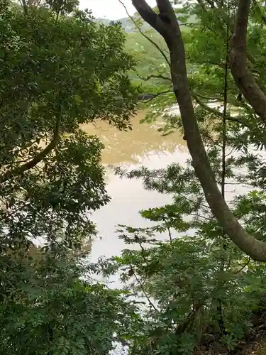 安房神社の周辺