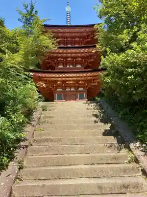 浄瑠璃寺(京都府)