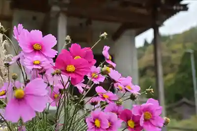妙龍神社(新潟県)