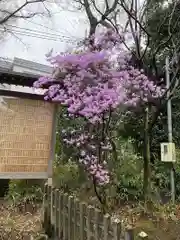 青渭神社(東京都)