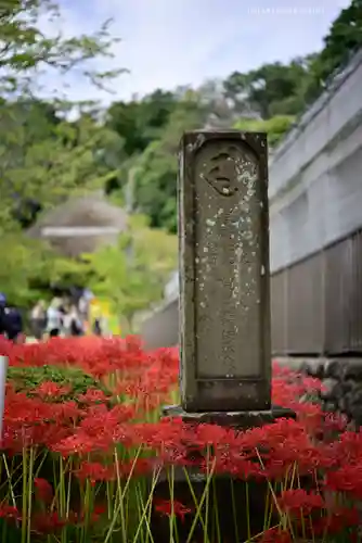 横浜　西方寺(神奈川県)