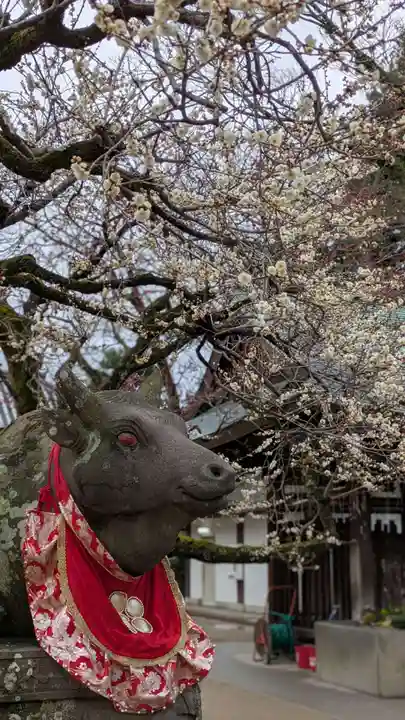 北野天満宮(京都府)