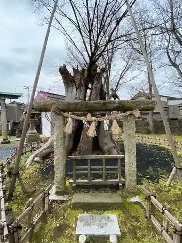 有礒正八幡宮の鳥居