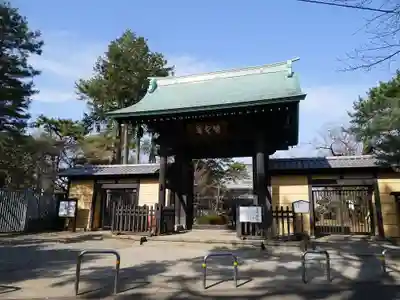 豪徳寺の山門・神門