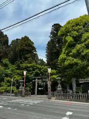 渋川八幡宮の{uncategorized: "未分類", other: "その他", undefined: "問題あり", building: "その他建物", grave: "お墓", sacred_gate: "鳥居", guardian: "狛犬", statue: "像", buddha: "仏像", history: "歴史", nature: "自然", garden: "庭園", animal: "動物", pagoda: "塔", temizu: "手水舎", mountain_gate: "山門・神門", sanctuary: "本殿・本堂", subordinate: "末社・摂社", art: "芸術", scenery: "景色", jizo: "地蔵", ema: "絵馬", goshuin: "御朱印", omikuji: "おみくじ", items: "授与品その他", amulet: "お守り", goshuincho: "御朱印帳", eats: "食事", festival: "お祭り", votive_dance: "神楽", shichigosan: "七五三参", wedding: "結婚式", experience: "体験その他", initially: "初詣", around: "周辺", anti_infection: "感染症対策"}